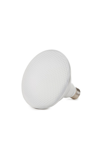 Bombilla LED E27 12W 1.080Lm 6000ºK Par38 IP65 30.000H [NE-PAR38-12W-IP65-CW]