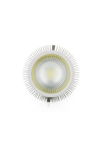 Bombilla LED E27 15W 1.350Lm 6000ºK Par38 30.000H [JN-P15WCOB-CW]