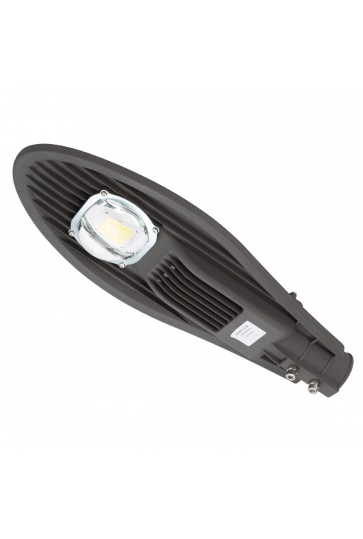 Farola LED 30W 3.000Lm 6000ºK 50.000H [NE-DY-STN30W-CW]