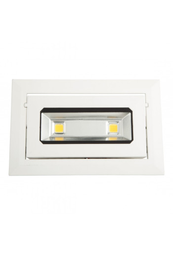 Foco Downlight LED 20W 1.800Lm 6000ºK Rectangular Basculante 30.000H [HO-DRECTBAS-20W-CW]