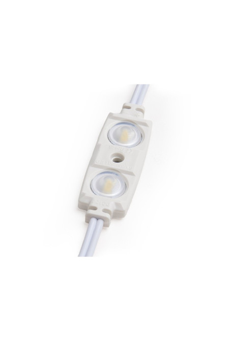 Módulo 1.2W 70Lm 6000ºK 2 LEDs PRO 5630 Inyectado IP67 Óptica 50.000H [RA-BL-5630W02-LENS-R-CW]