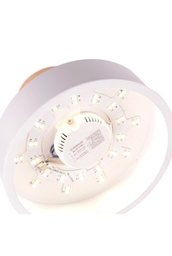 Plafón LED 15W 1250Lm Mando a Distancia (Intensidad-CCT) 10.000H [HO-CCT-DL15W]