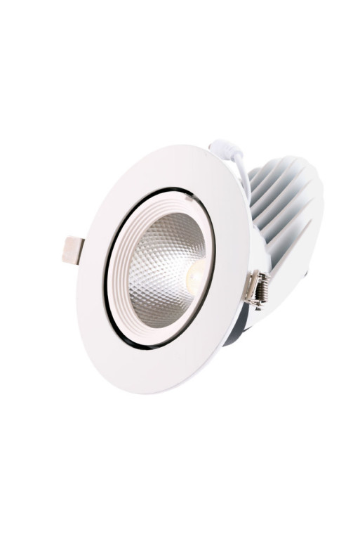 Foco Downlight LED 24W 2400Lm 4000ºK Circular Orientable 30.000H [HO-COB-C-OR-24W-W]