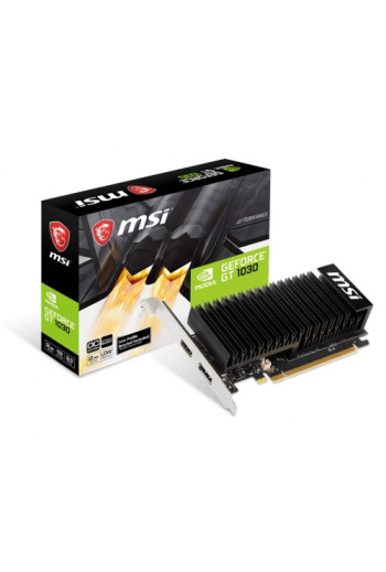 MSI GT 1030 2GHD4 LP OC - 2...