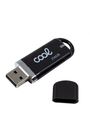 Pen Drive x USB 256 GB 2.0...