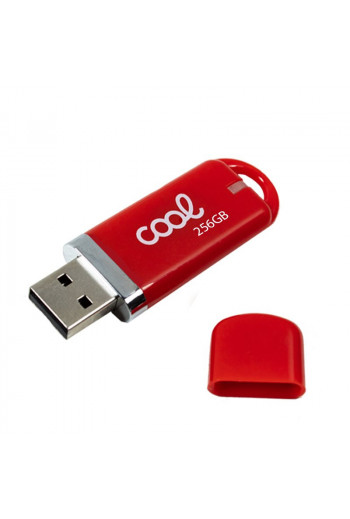 Pen Drive x USB 256 GB 2.0...