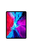 iPad Pro 12.9 (2020 / 2021)